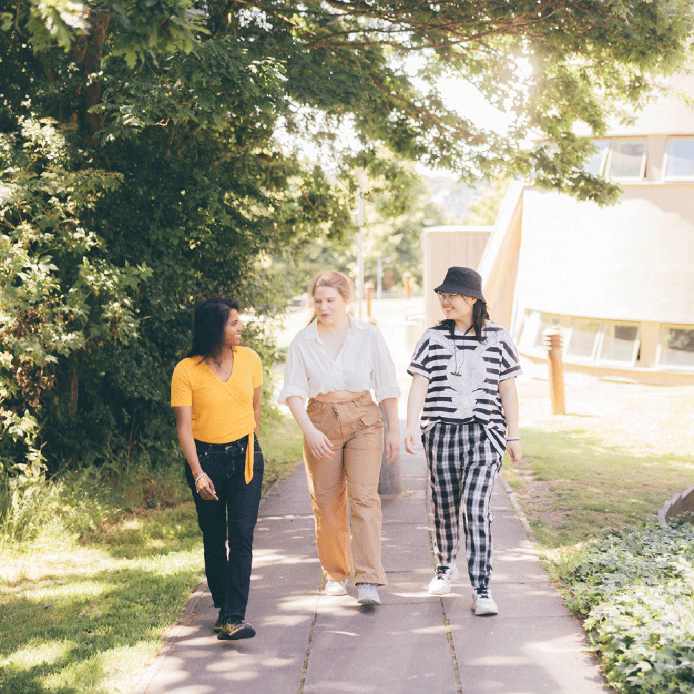 three students walking up a tree covered path on a sunny day
