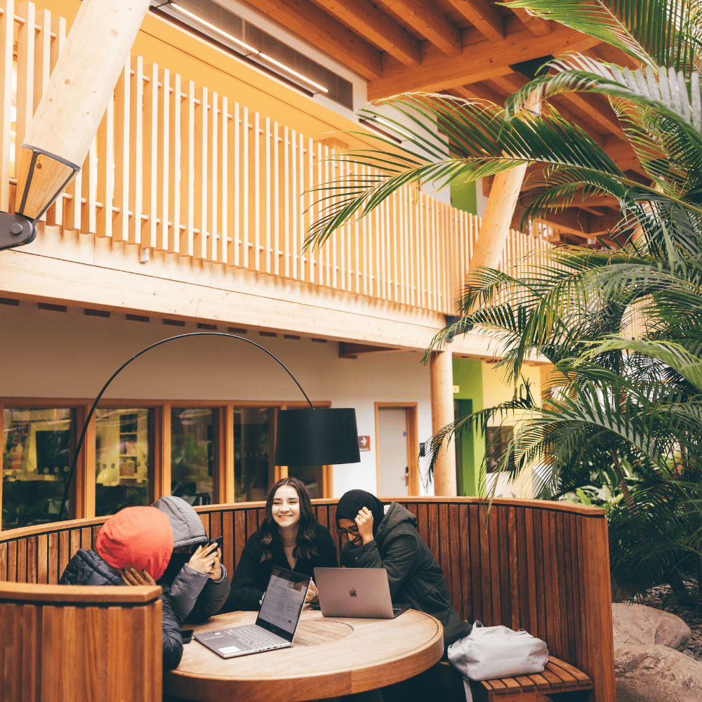 4 students chatting in the EBS winter garden