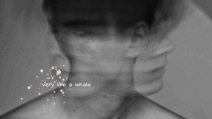 Very Like A Whale