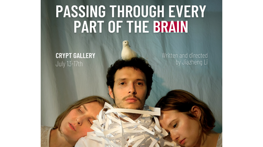 Passing Through Every Part of my Brain